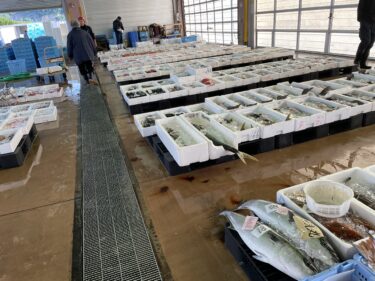 五島市魚市場の競りを見学に行きました
